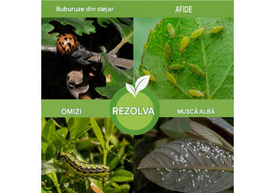Săpun de Potasiu cu Ulei de Neem – Spray Natural pentru Afide și Dăunători image