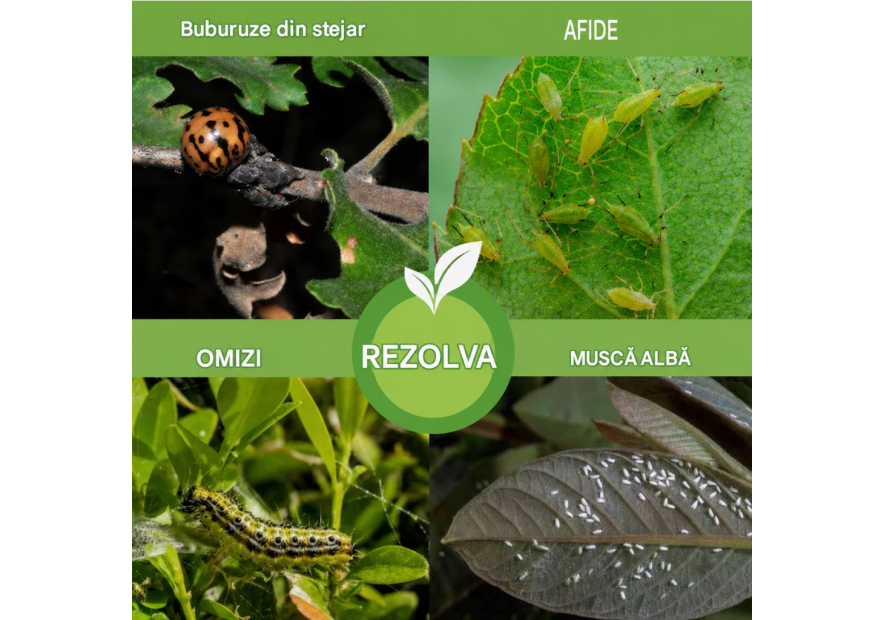 Săpun de Potasiu cu Ulei de Neem – Spray Natural pentru Afide și Dăunători